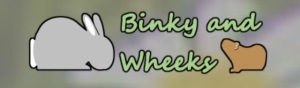 Squidgypigs - Binky and Wheeks