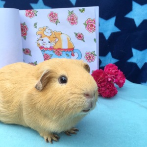 Slincypig says he is available for modelling...