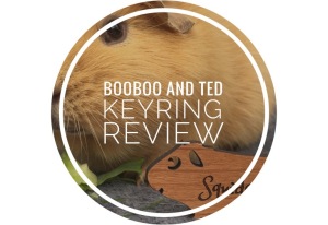 BooBoo and Ted Keyrings 