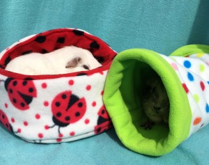 Princess Bagel-Baby and Doughnut in their Piggies In Blankets beds.